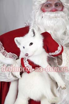 Костюмы Деда Мороза и Снегурочки -  Комплект «Костромской»