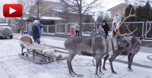 Видео отзыв о Деде Морозе и Снегурочке